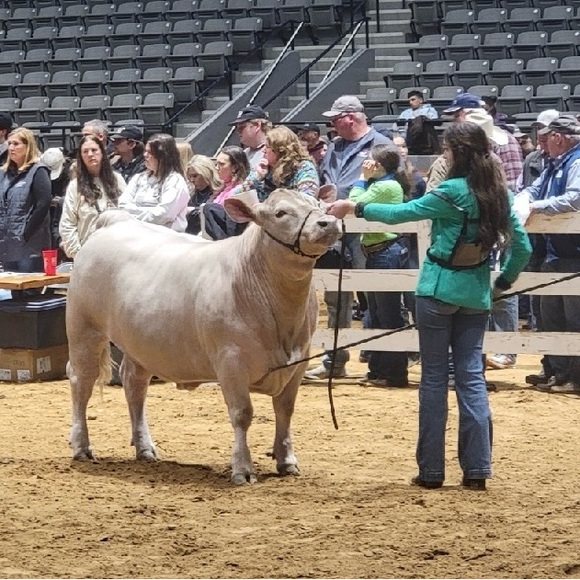 Meet your Posher, Rebecca - Picture 2 of 16